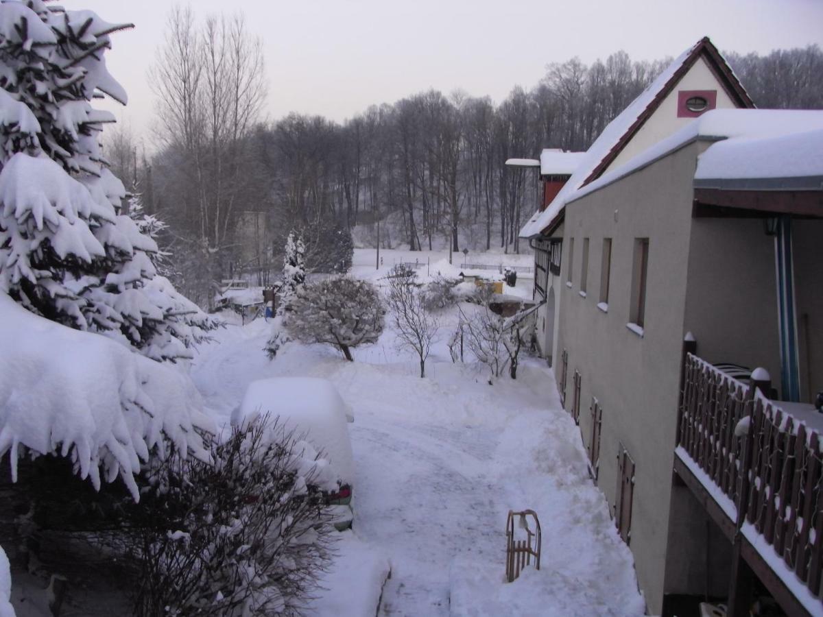 Restaurant & Pension "Bauernhof Zum Silberbergwerk" Limabach - Oberfrohna エクステリア 写真