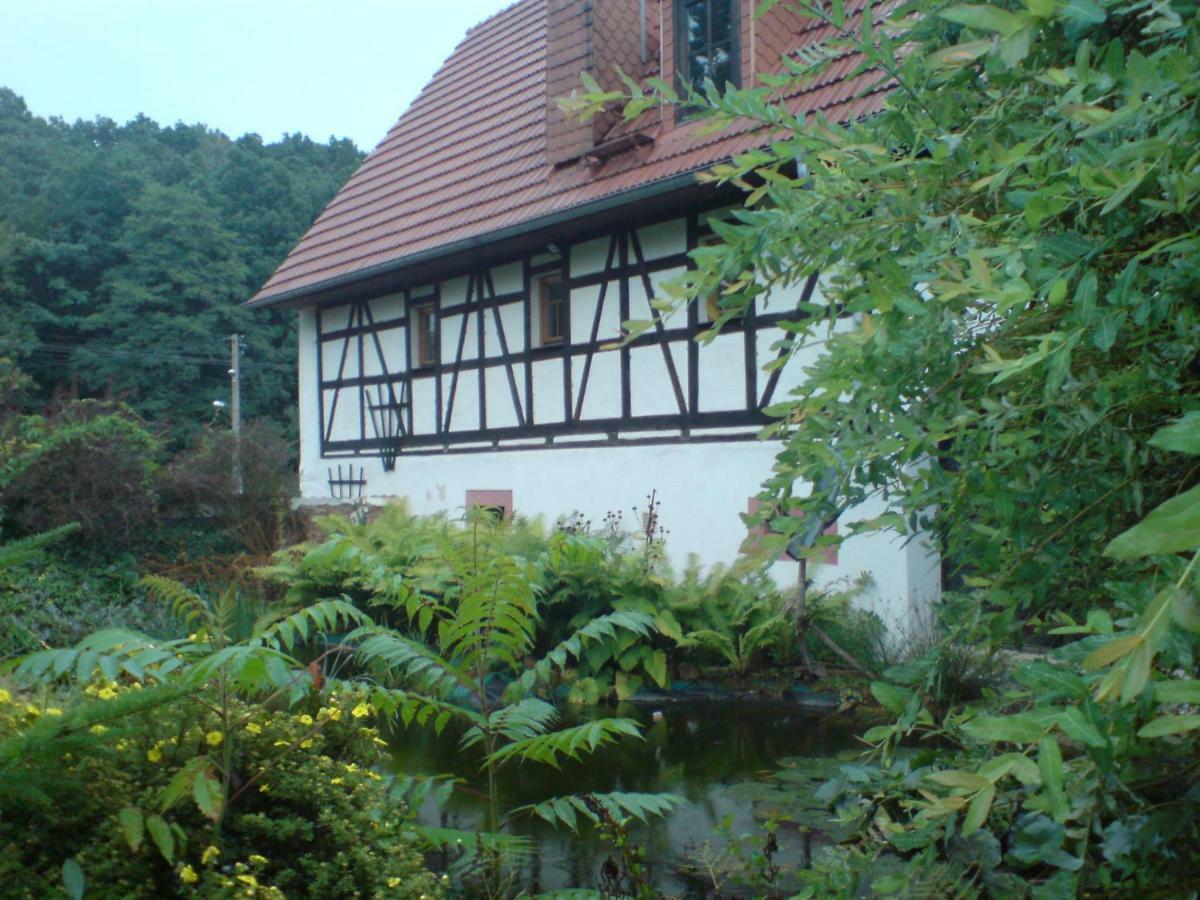Restaurant & Pension "Bauernhof Zum Silberbergwerk" Limabach - Oberfrohna エクステリア 写真